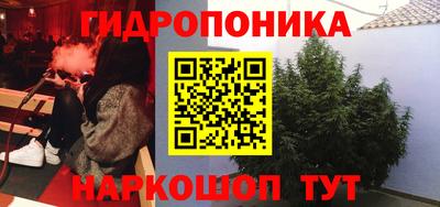 герыч Кингисепп