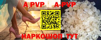 герыч Кингисепп